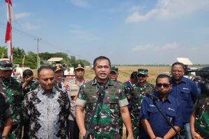 TNI AD Aktif Bantu Pemerintah Amankan Stok Pangan Nasional