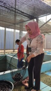 Pembinaan Berjalan Lancar, Lapas Perempuan Tangerang Panen Lele