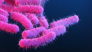 Shigella dysenteriae, Bakteri Penyebab Disentri yang Perlu Diwaspadai