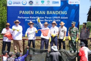 Kementerian UMKM Perkuat Sektor Perikanan dalam Ekosistem MBG