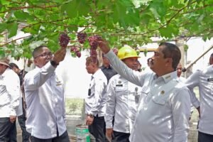 Dukung Asta Cita Presiden, Kemenimipas Resmikan Program Ketahanan Pangan Nusakambangan