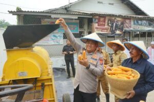 Polresta Tangerang Kembali Tanam Jagung Serentak, Kali Ini Di Lahan Seluas 25 Hektare