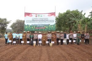 Perkuat Ekonomi dan Pangan, Polres Cilegon Dorong Petani Bojonegara Tanam Jagung Serentak Di Lahan PAT