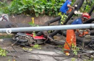 BPBD Kota Tangerang Gerak Cepat Evakuasi Pohon Tumbang Menimpa Motor di Kecamatan Jatiuwung
