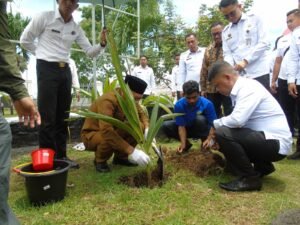 Sinergi Ketahanan Pangan melalui Penanaman Bibit Kelapa