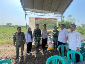 Polres Serang menggelar Penanaman Jagung Serentak Kuartal IV di lima lokasi pada seluas 2 hektar di Kampung Sadang