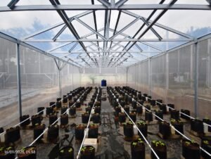 Semai Bibit Sweet Hami dan Bibit Cantaloupe, Lapas Banjar Go Green