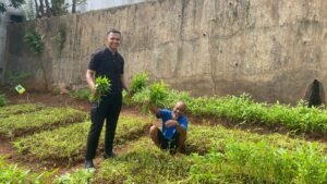 Wujud Pembinaan Kemandirian dan Dukung Ketahanan Pangan, Lapas Banjar Panen Kangkung 30 Kg