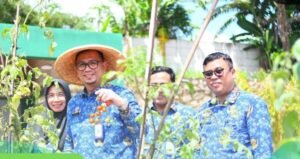 RSUD Tigaraksa Gelar Panen Raya Kebun Rumah Sakit, Dukung Gizi Pasien dan Lingkungan Sehat