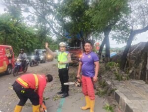Kanit Lantas Polsek Neglasari Lakukan Pengaturan Lalu Lintas Saat Evakuasi Pohon Tumbang