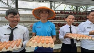 Dari Balik Tembok Lapas, Warga Binaan Lapas Cikarang Produksi 120 Kg Telur Setiap Minggu untuk PT TACI