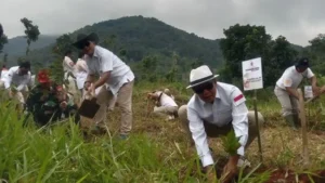 Tanpa Pesta, Gerindra Sumedang Isi Pergantian Tahun dengan Aksi Tanam Pohon