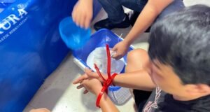 Satreskrim Polres Metro Tangerang Kota Bongkar Penjualan BBL Ilegal ke Singapura, Kerugian Negara Capai Rp3,3 Miliar