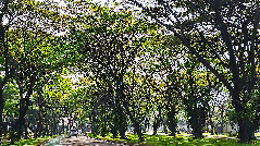 Alam Sutera Klarifikasi Isu Proyek Sutera Rasuna di Pinang Tangerang