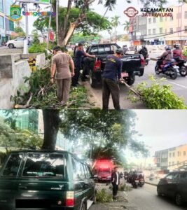 Sinergi Trantib Kecamatan Jatiuwung dan Damkar Evakuasi Pohon Tumbang Akibat Cuaca Ekstrem