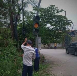 Demi Keselamatan Pengguna Jalan, Dishub Kota Tangerang Pangkas Ranting Pohon Tutupi Warning Light di Benda