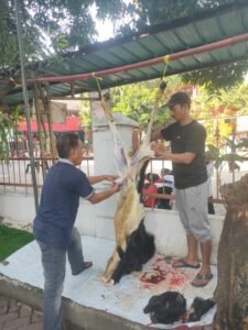 Semarak Idul Adha 1447 H: Kelurahan Gondrong Salurkan Daging Kurban bagi Warga Kurang Mampu